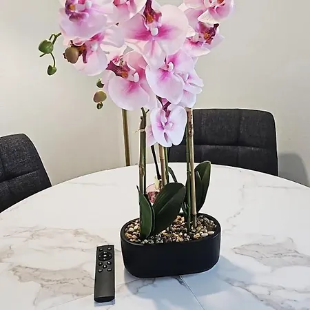 Plein Coeur Du Portel, Cosy A 5 Min A Pied De La