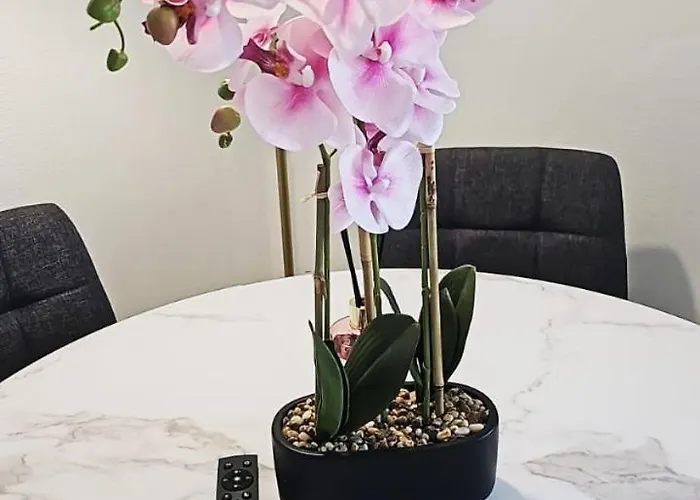 Plein Coeur Du Portel, Cosy A 5 Min A Pied De La